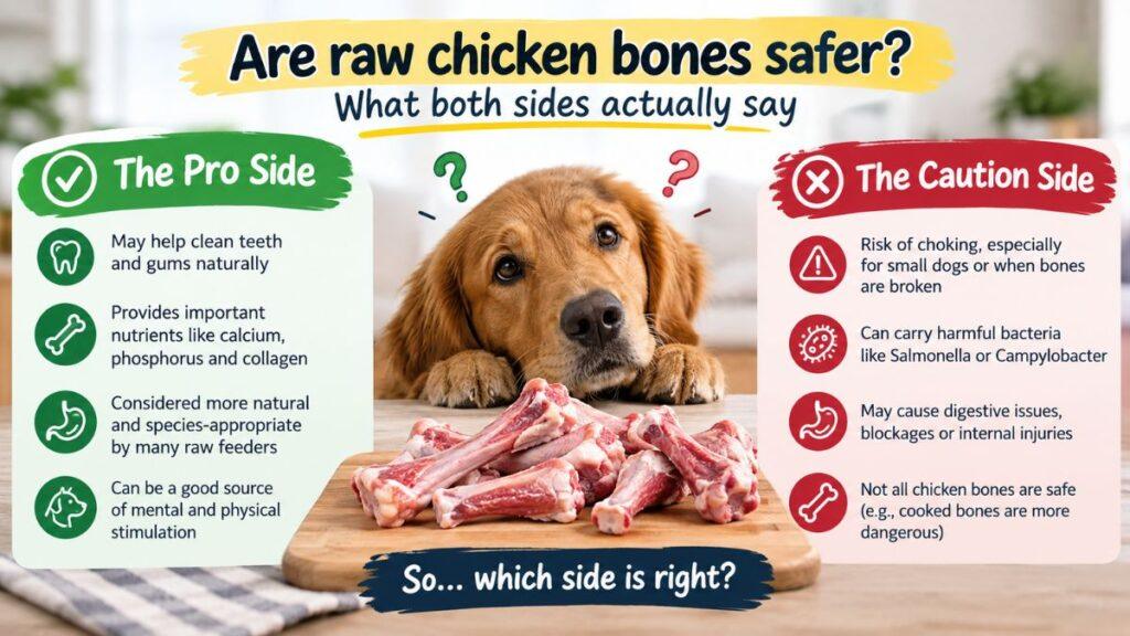 are-raw-chicken-bones-safer-what-both-sides-actually-say