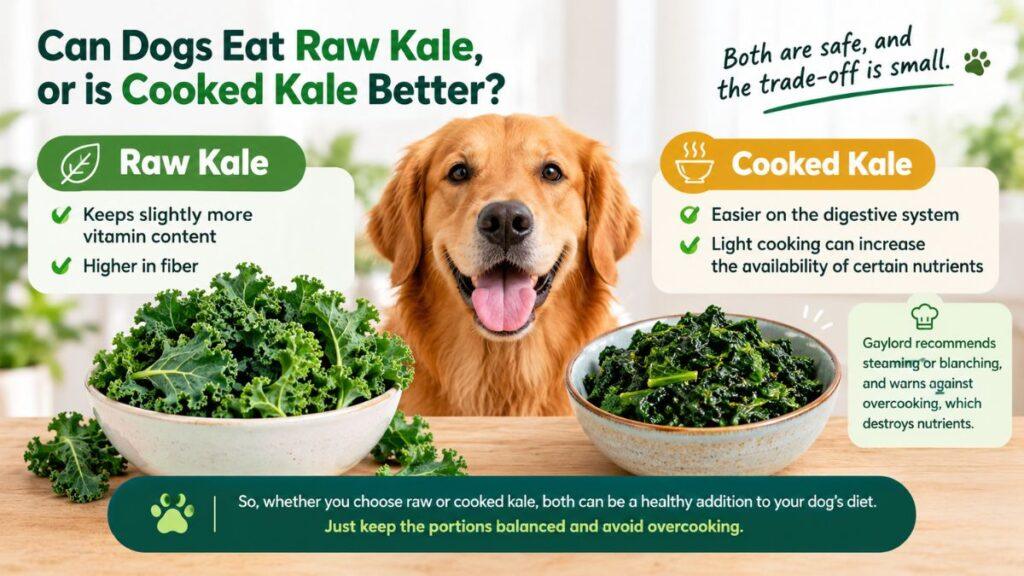 can-dogs-eat-raw-kale-or-is-cooked-kale-better