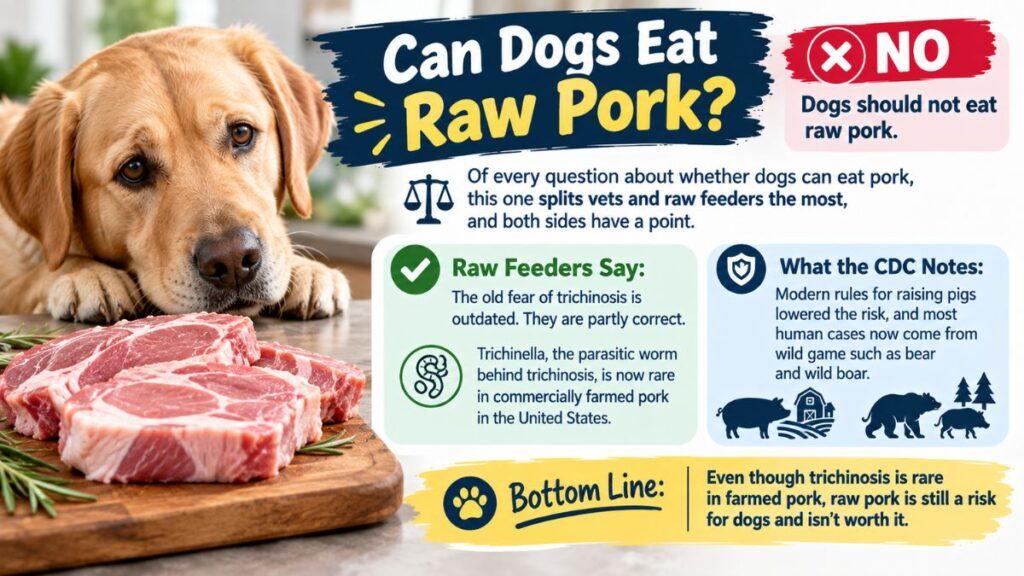 can-dogs-eat-raw-pork