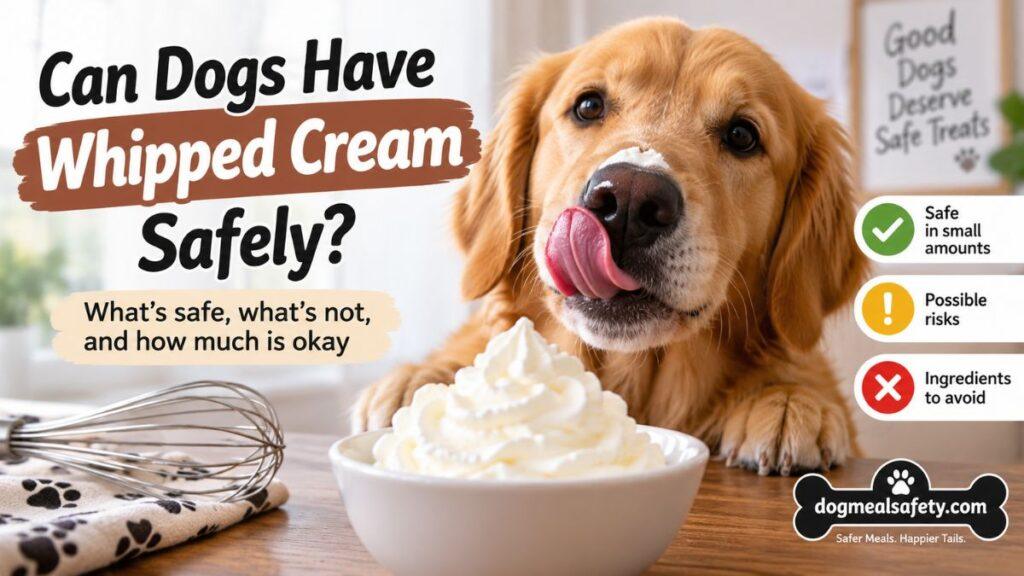 can-dogs-have-whipped-cream-safely