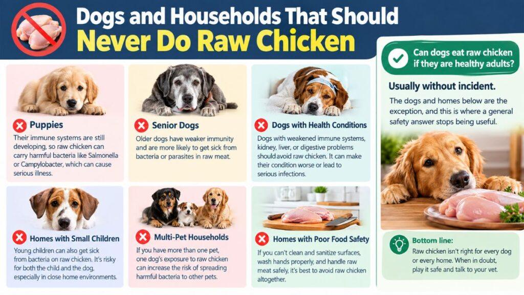 dogs-and-households-that-should-never-do-raw-chicken