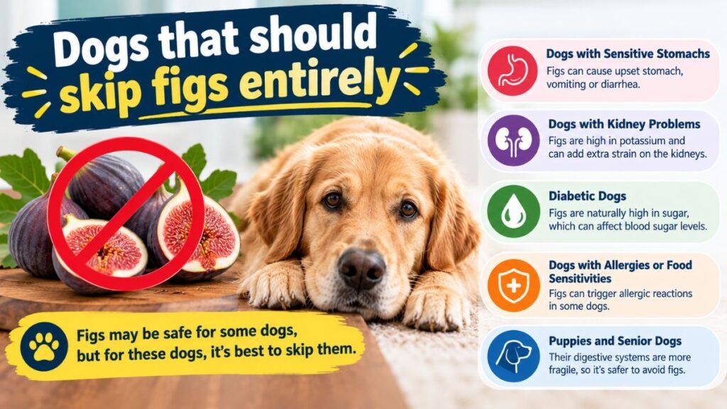 dogs-that-should-skip-figs-entirely