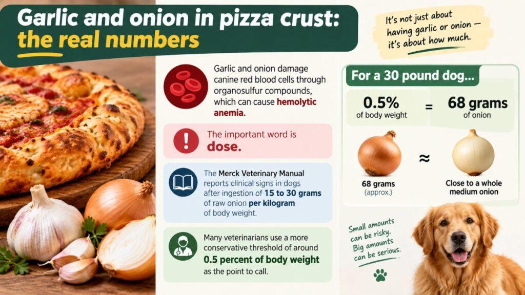 garlic-and-onion-in-pizza-crust-the-real-numbers