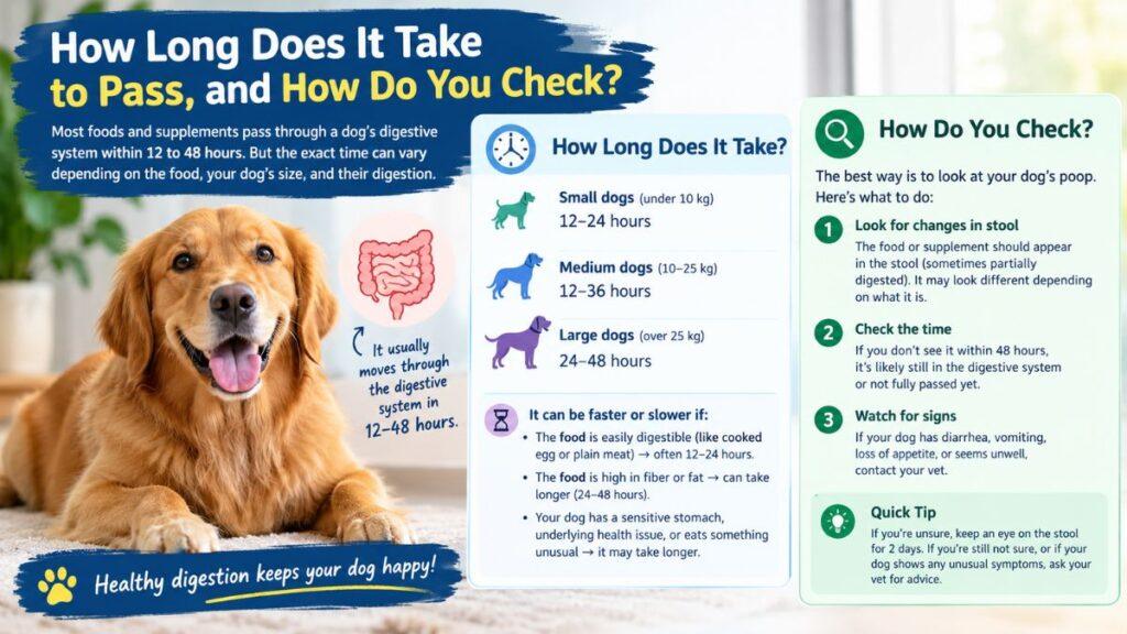 how-long-does-it-take-to-pass-and-how-do-you-check