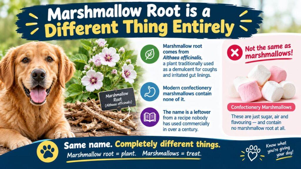 marshmallow-root-is-a-different-thing-entirely