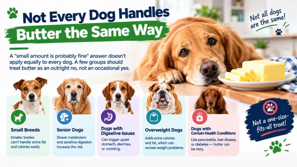 not-every-dog-handles-butter-the-same-way