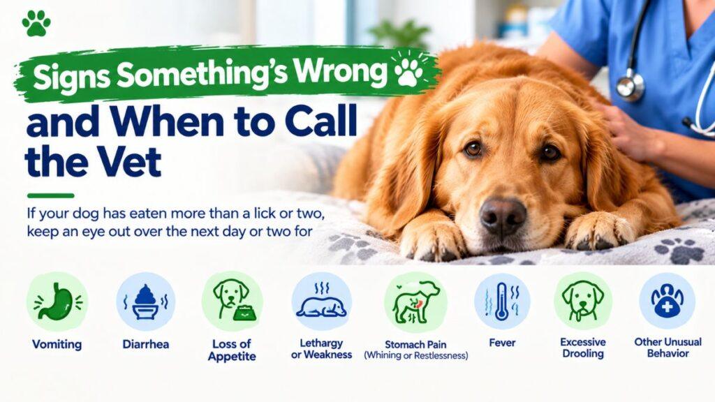 signs-somethings-wrong-and-when-to-call-the-vet