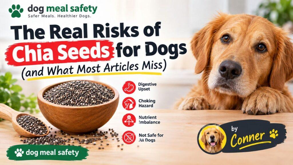 the-real-risks-of-chia-seeds-for-dogs-and-what-most-articles-miss