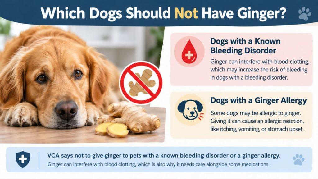 which-dogs-should-not-have-ginger