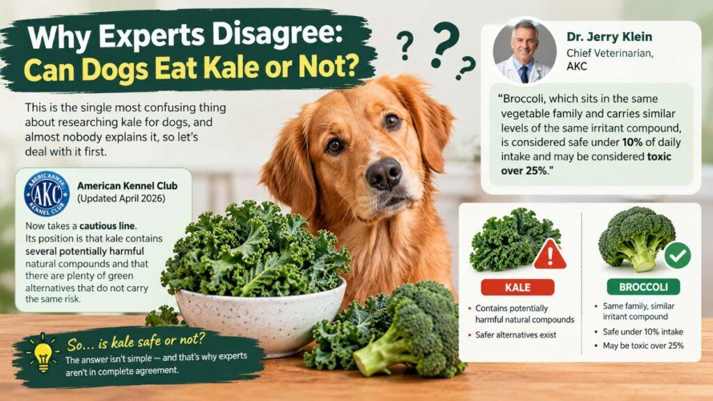 why-experts-disagree-can-dogs-eat-kale-or-not